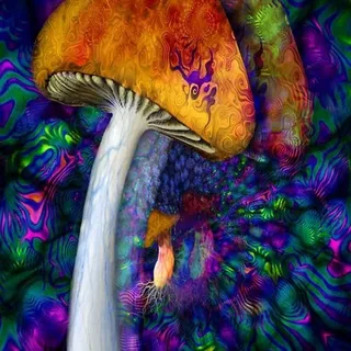 BUY PSYCHEDELICS IN SYDNEY